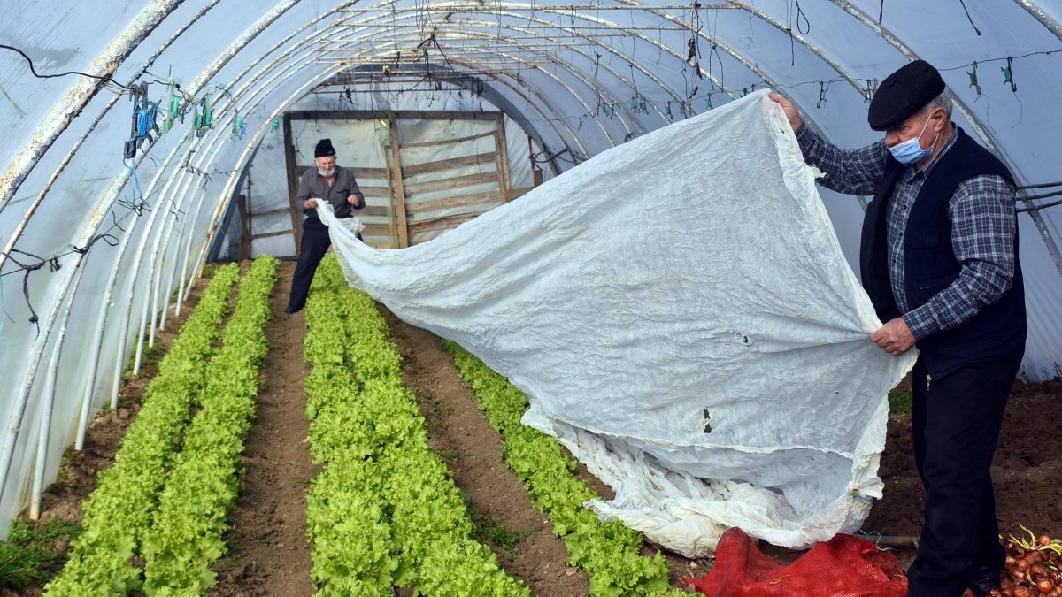 Edirne'de sebze üreticileri seralarda dona karşı önlem alıyor