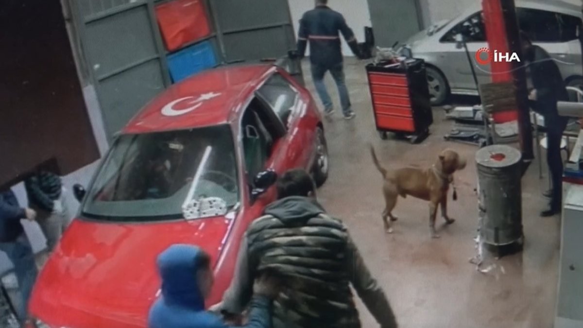 Arnavutköy'de tamirhanede pitbull paniği