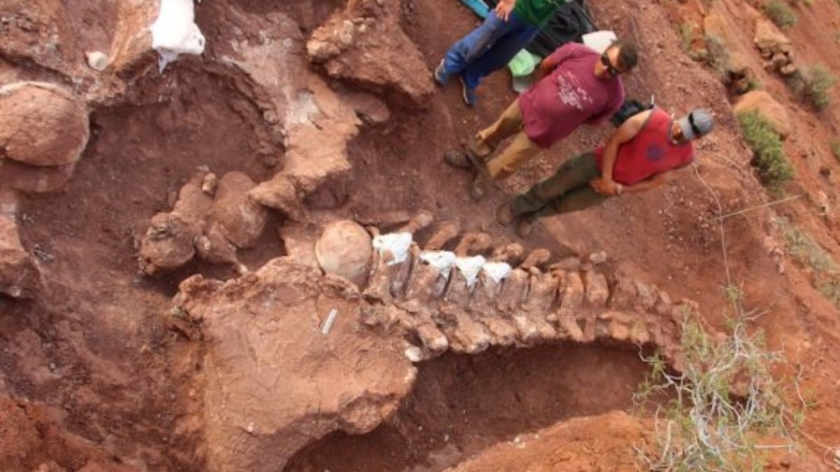 Arjantin’de 98 milyon yıllık dinozor fosili bulundu