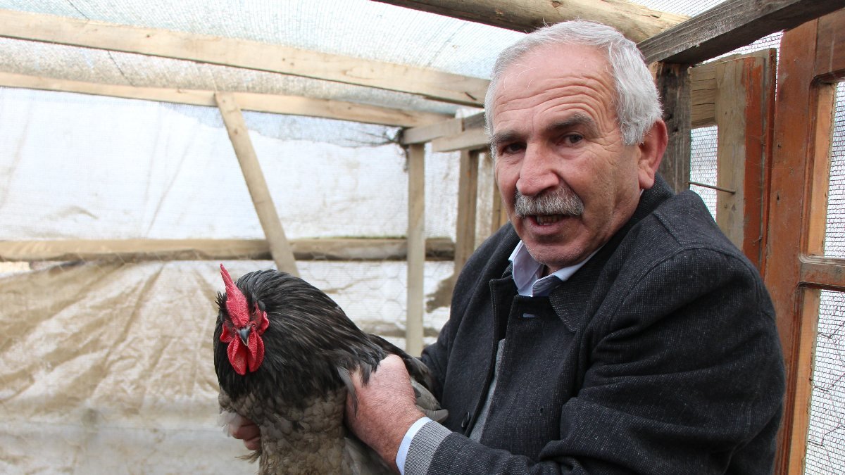 Amasya'da tilkiyle karşılaşan çiftçi, yaşadıklarını anlattı