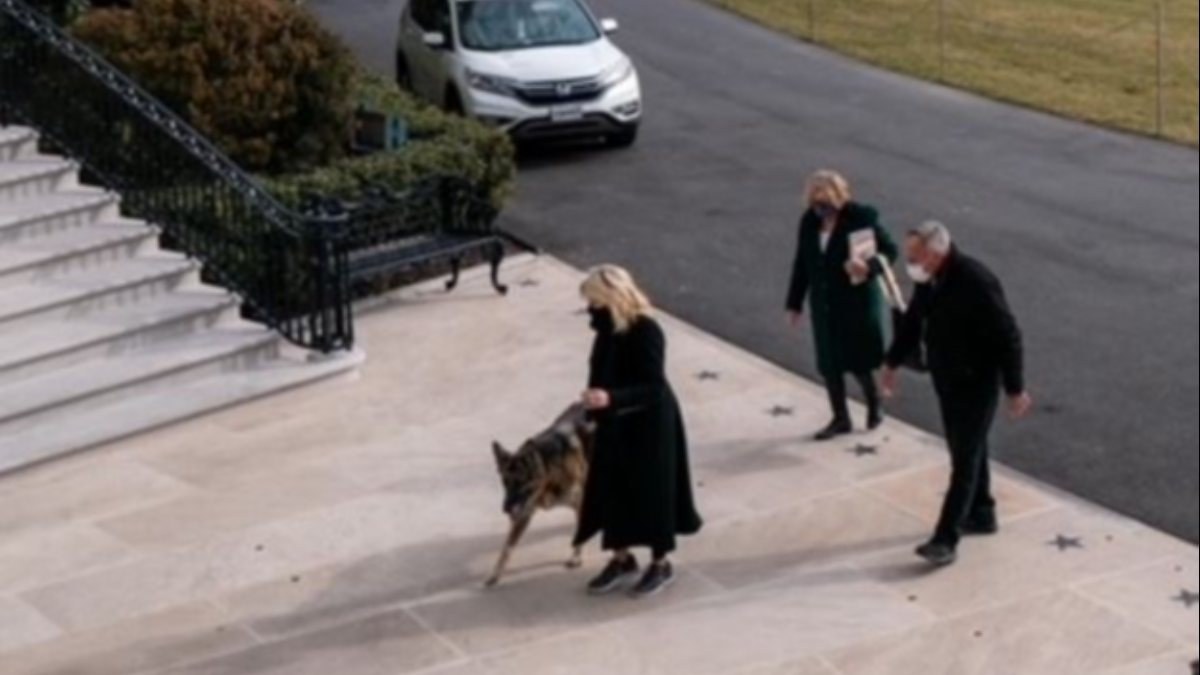 Biden köpeklerini de Beyaz Saray’a getirdi