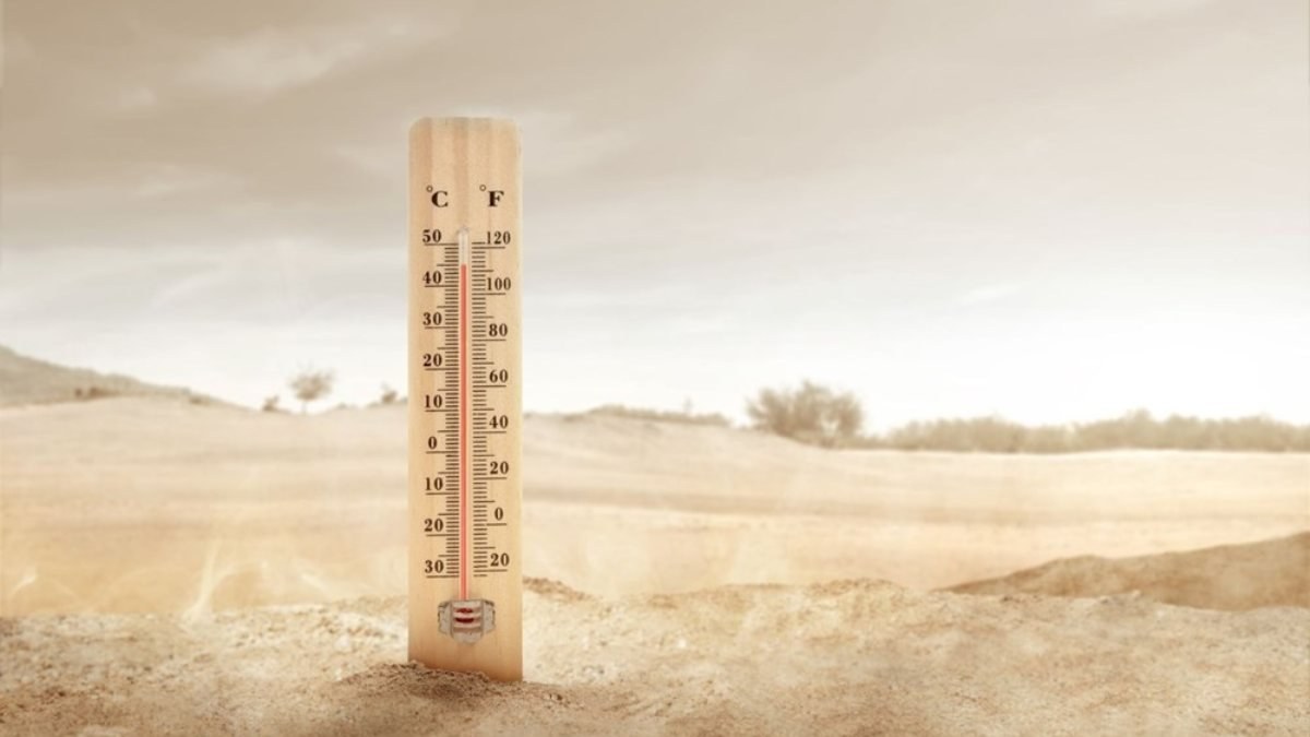 Dünyanın ortalama sıcaklığı 2100 yılına kadar 5-6 derece artabilir