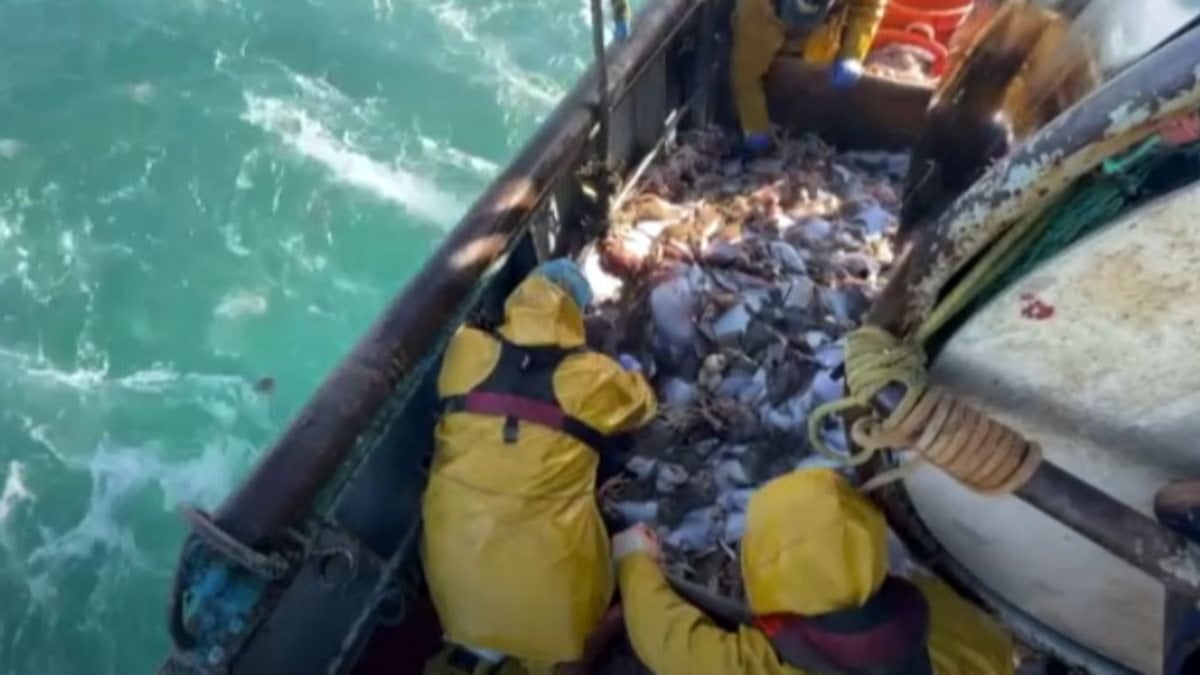 İngiliz balıkçıların Brexit tepkisi: Yalan söylediler