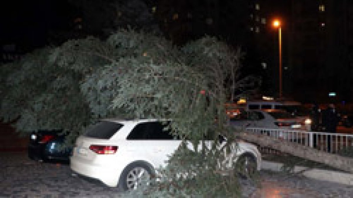 Kayseri'de şiddetli rüzgar: Ağaçlar devrildi, çatılar uçtu