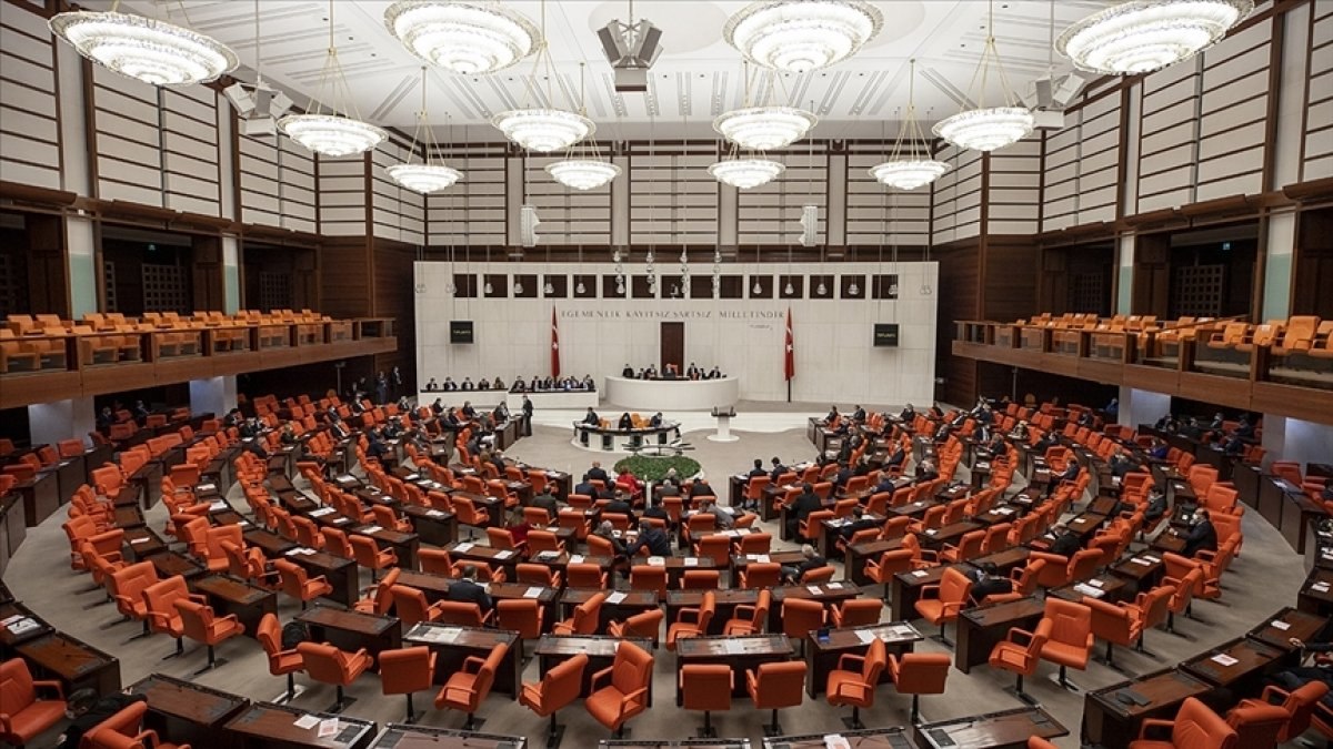 Meclis'te bu haftanın gündemi nadir görülen hastalıklar