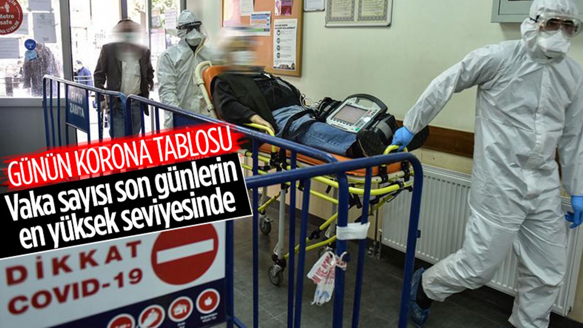 8 Şubat Türkiye'de koronavirüste son durum