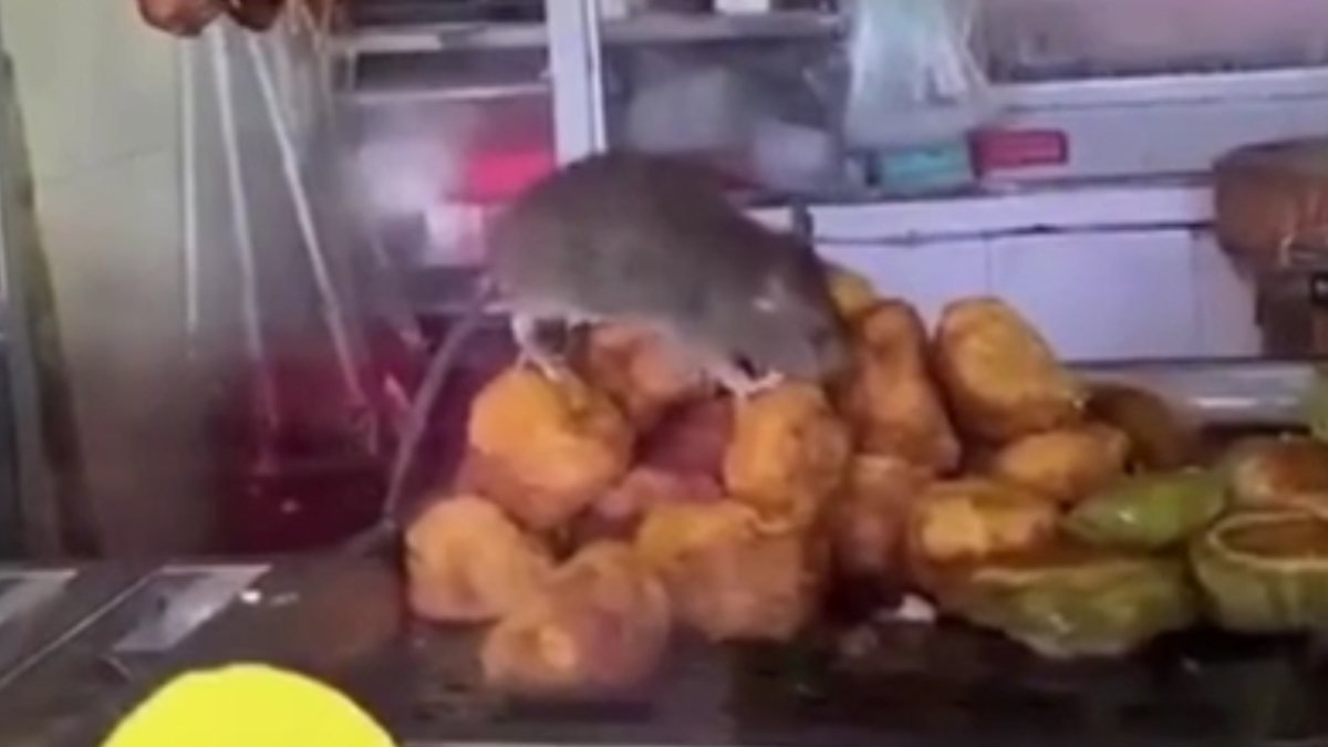 Çin'de etlerin üzerinde farenin gezdiği restoran kapatıldı