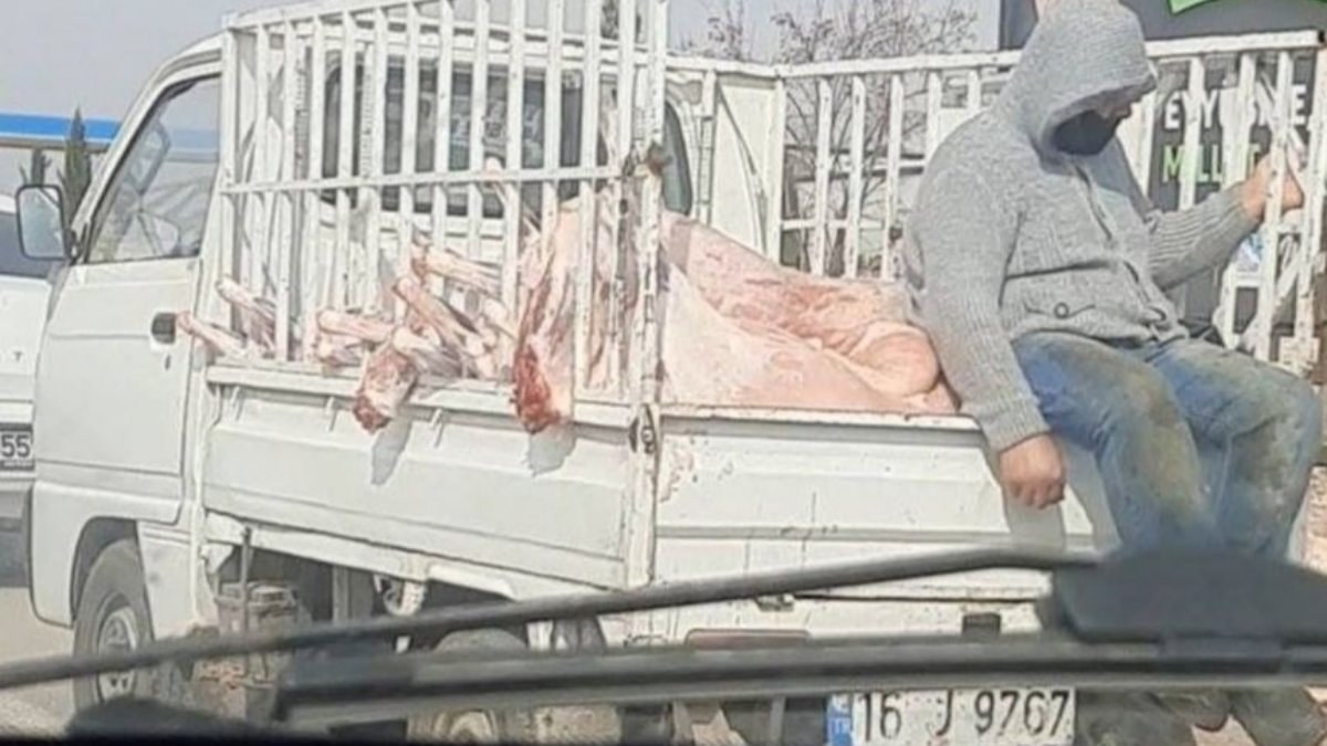 Şanlıurfa'da kamyonet kasasında taşınan etler tepki çekti