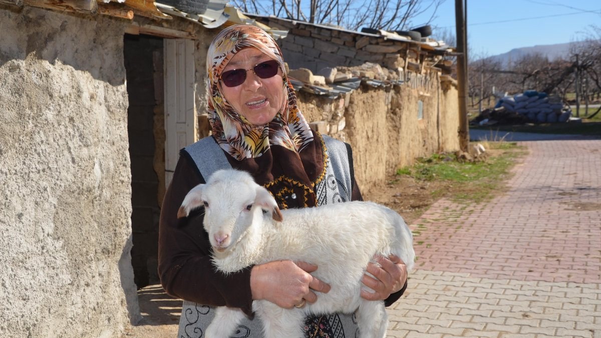 Konya'da şehit oğlunun adını verdiği kuzu çalındı: İsteselerdi maaşımı verirdim