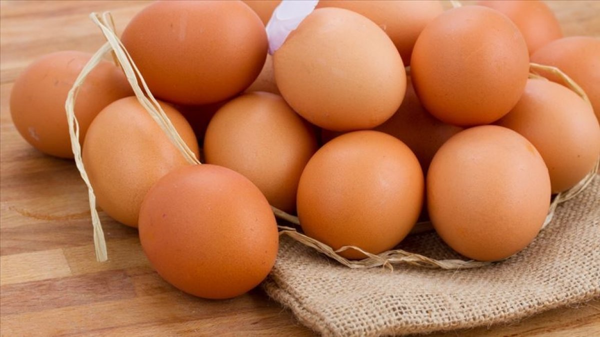 Tavuk yumurtası üretimi 2020’de azaldı