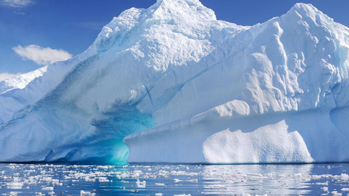 Antarktika buz tabakasının altında garip canlılar bulundu