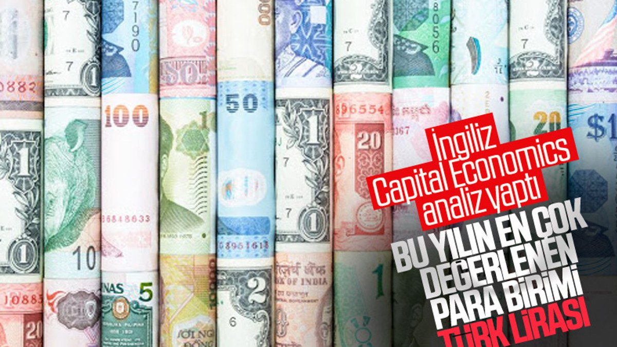 Capital Economics'ten Türk Lirası'na büyük övgü
