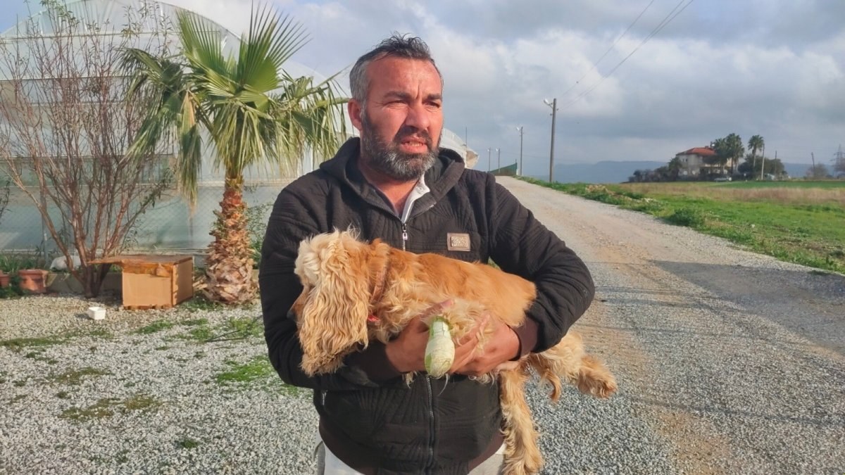 Antalya'da elinde tüfekle köpeği kovalarken yakalandı