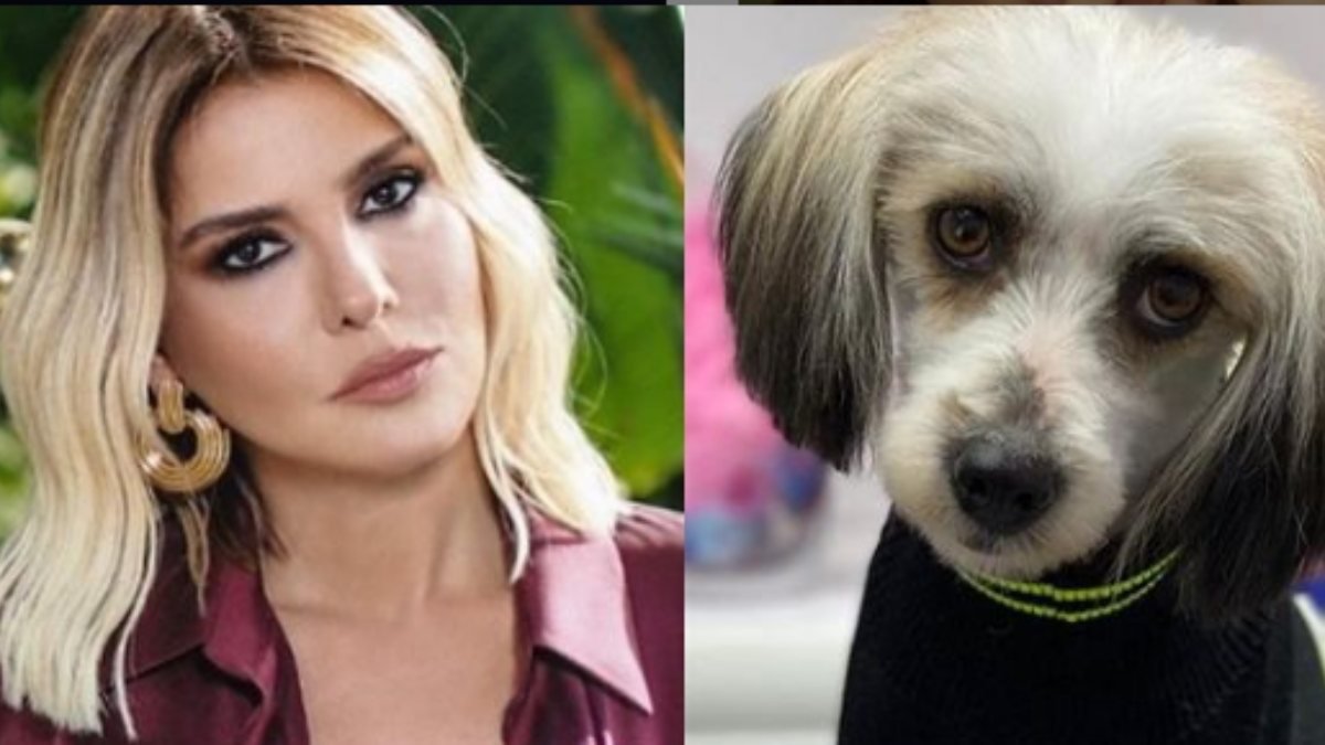 Gonca Vuslateri, Gülben Ergen'e köpek buldu