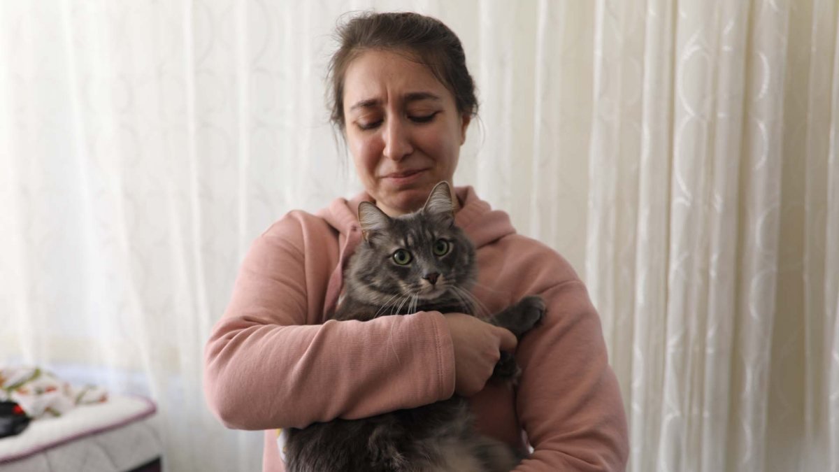 Gaziantepli aile ölen kızlarının kedisi 'lui' ile teselli buldu