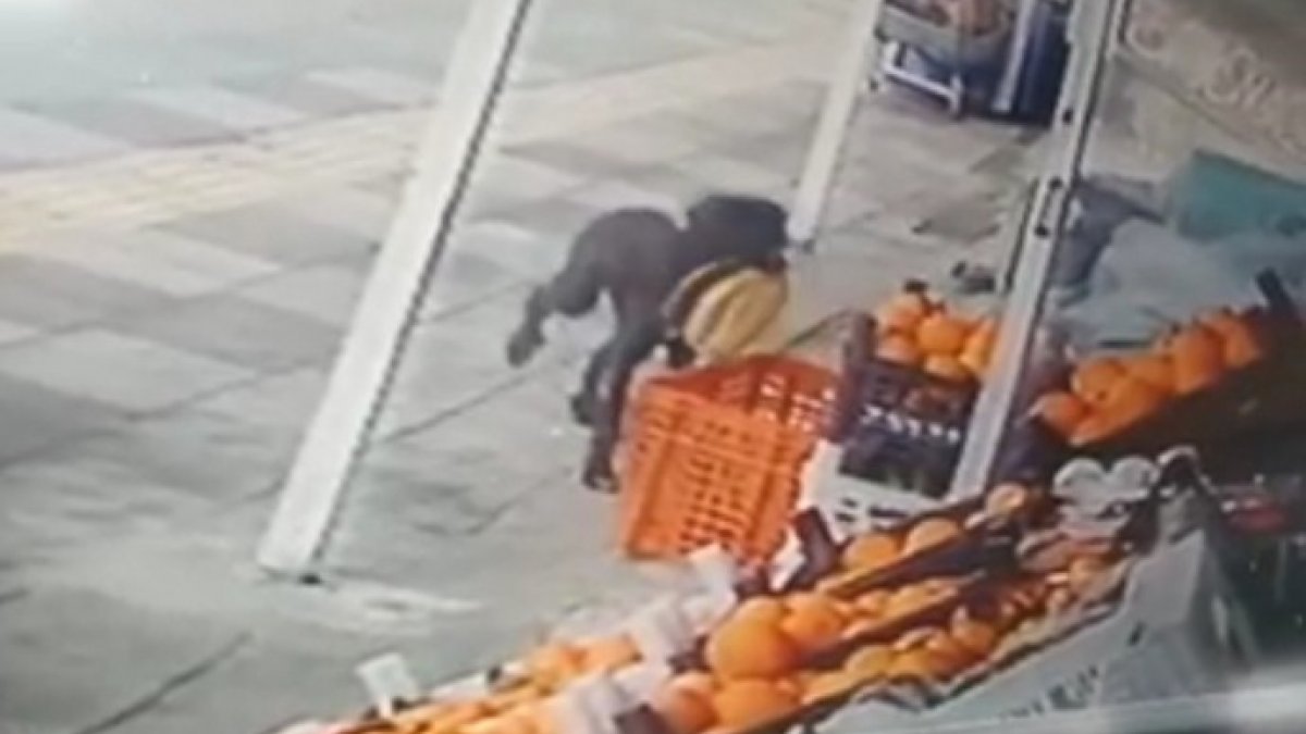 Malatya'da marketten ekmek çalan köpek kameralara yansıdı