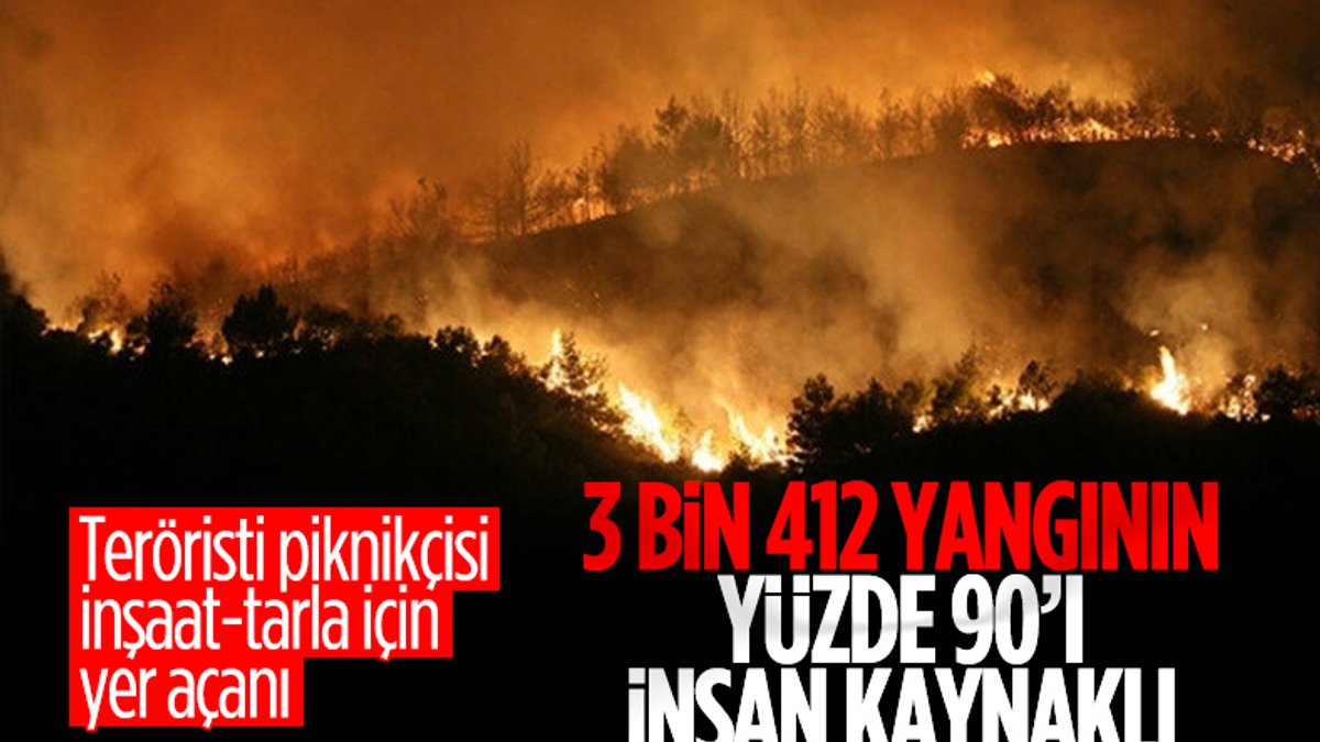 2020 yılında Türkiye'deki orman yangınlarının maliyeti