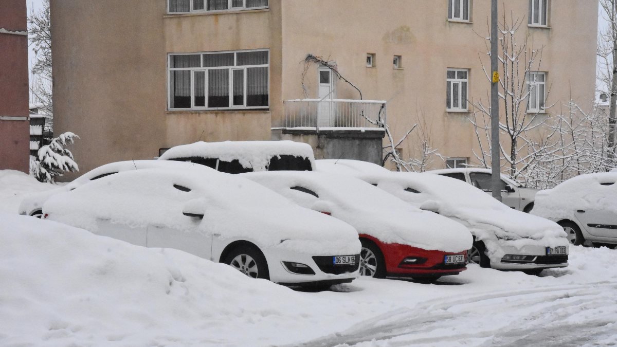 Bitlis’te yağan mart karı, 25 köye ulaşımı engelledi