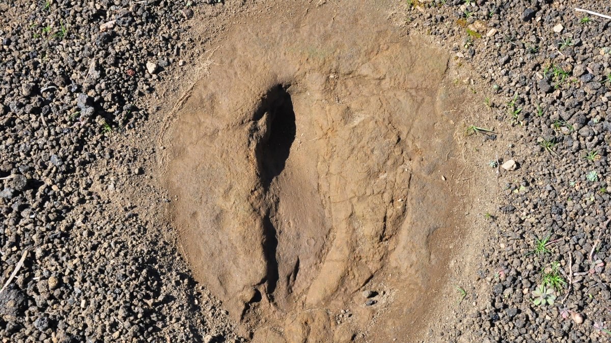 Manisa'da 5 bin yıllık ayak izi