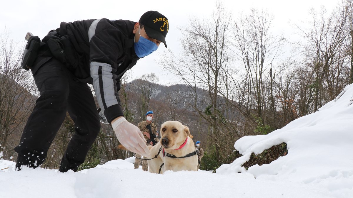 Zonguldak Jandarması'nın 'süper burun' köpekleri