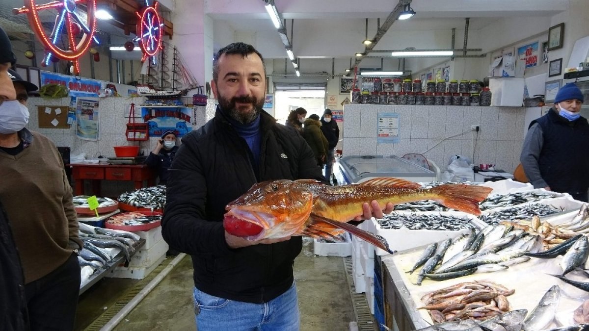 Kırlangıç balığı av sezonunun sonuna doğru Trabzon'da ortaya çıktı