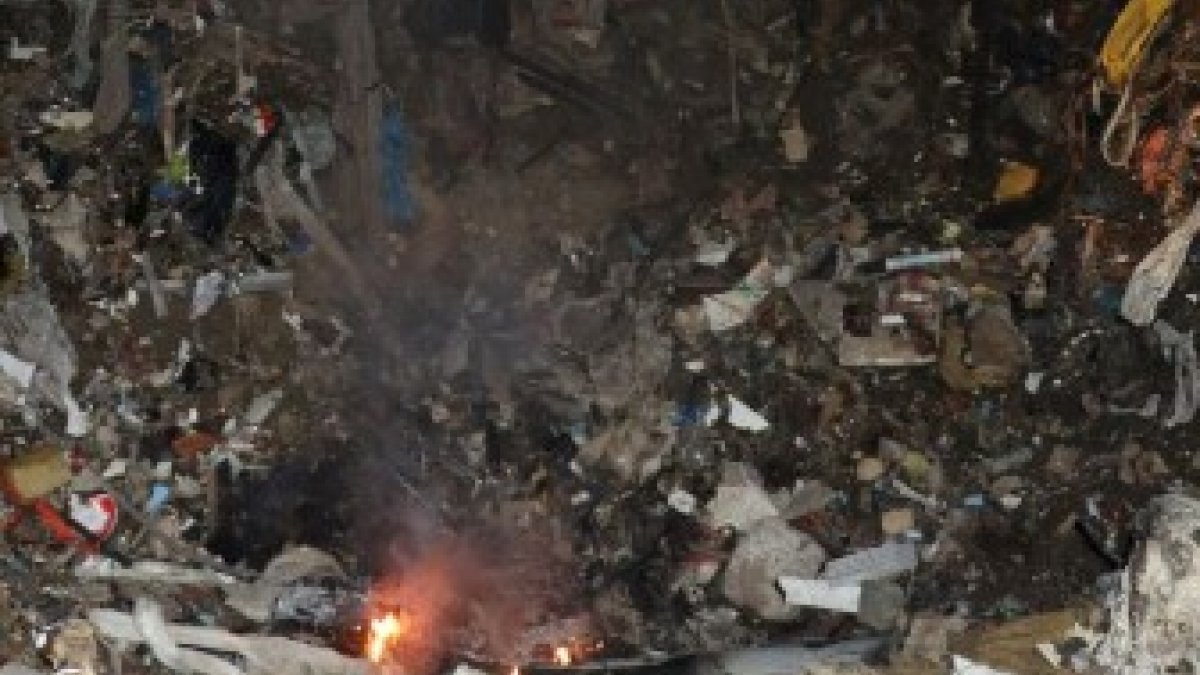 Ankara'da çöplükte yanmış köpek ölüsü bulundu