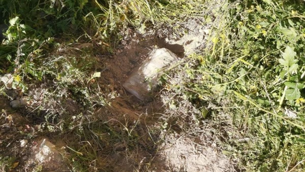 Şanlıurfa'da eylem hazırlığında olan terörist yakalandı