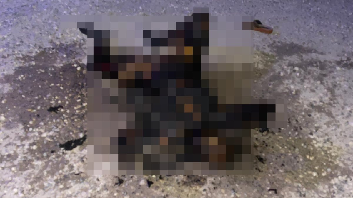 Şanlıurfa'da yol kenarında yanmış kadın cesedi bulundu