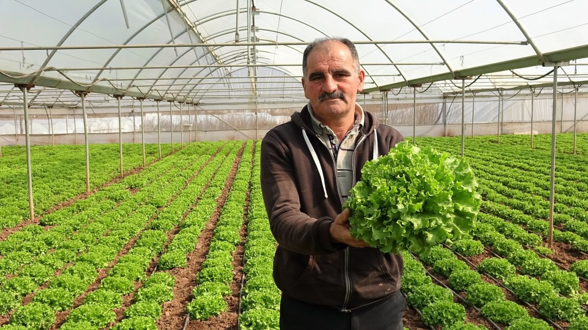 Tokat'ın tamamı sera ile kaplı köyü 'Küçük Antalya' olarak anılıyor