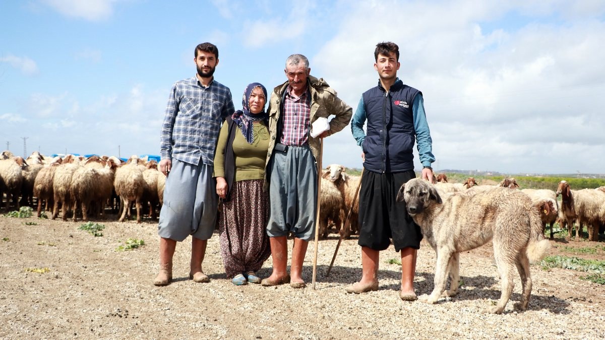 Adana'da hayvancılık yapan aile, yaşamını çadırda sürüyor