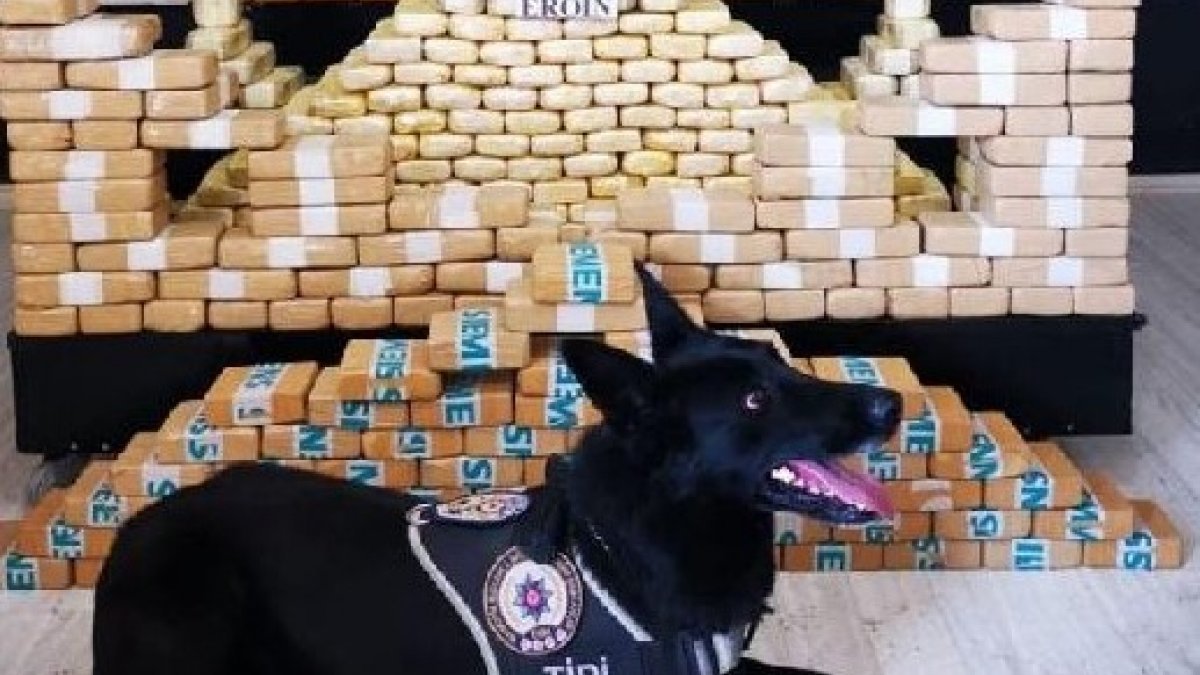 Hakkari'de narkotik köpeği Tipi ile 204 kilo eroin ele geçirildi