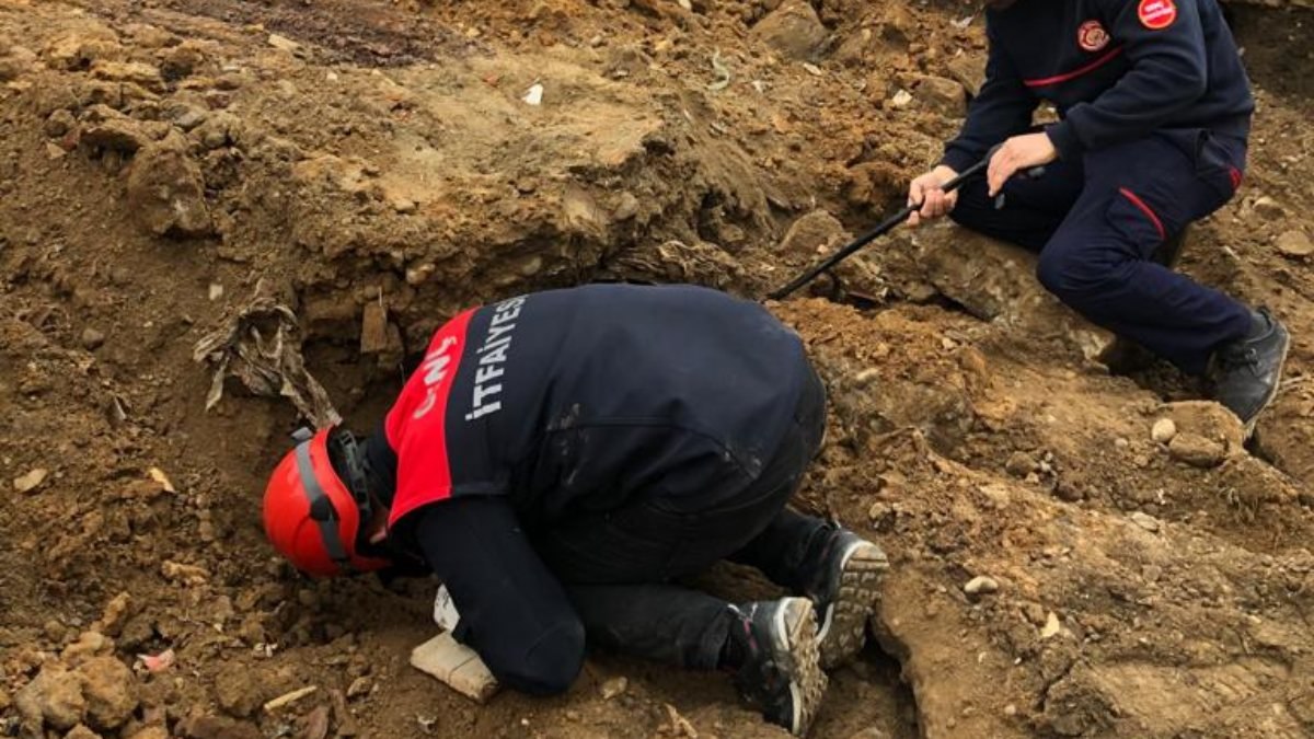 Bingöl'de moloz altında kalan kedi kurtarıldı