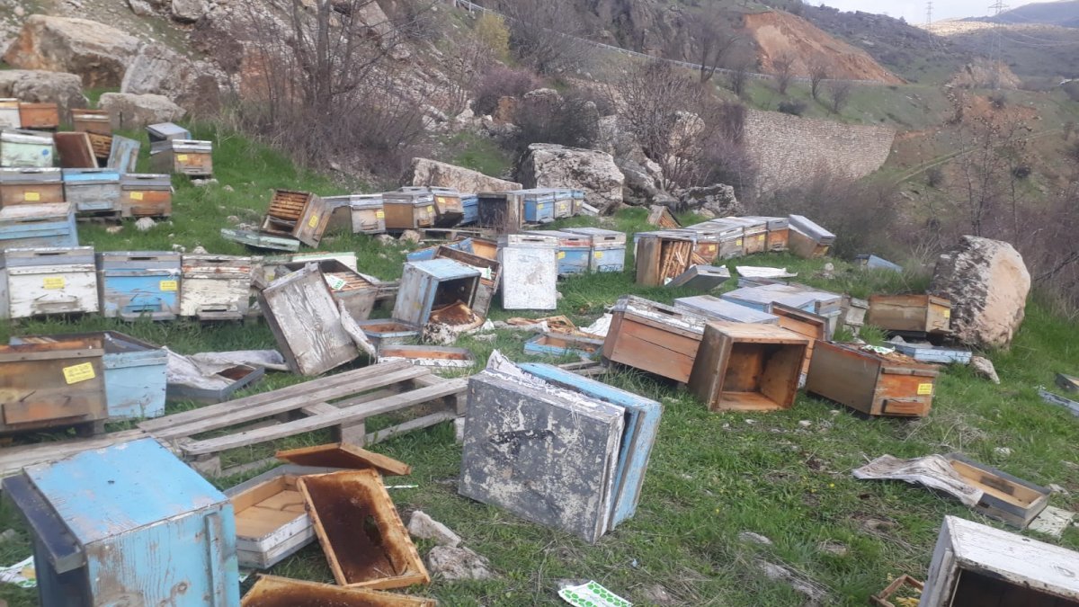 Hakkari'de kış uykusundan uyanan ayılar, 150 arı kovanını parçaladı