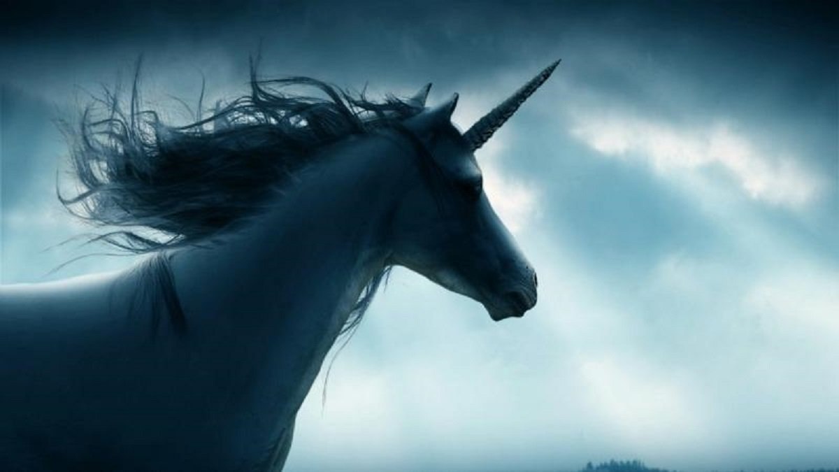 Unicorn nedir? Unicorn şirket ne demek, hangi şirketlere unicorn denir?