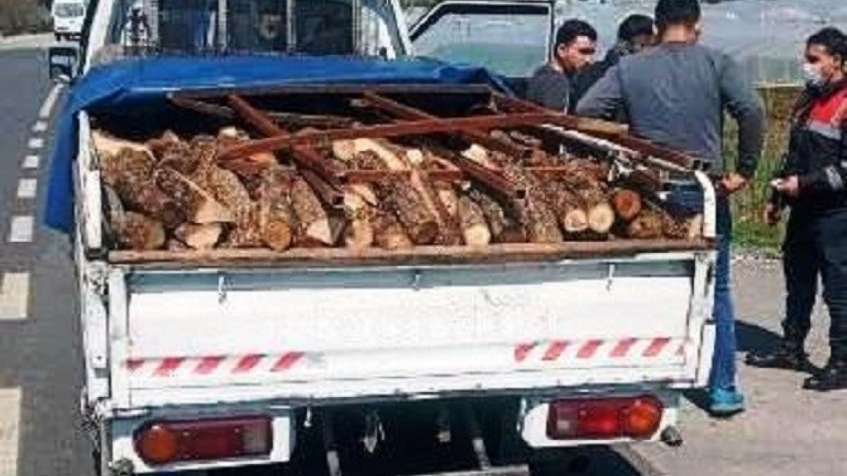 İzmir'de ‘oğlun odun aldı’ yalanıyla yaşlı kadını evinde gasbettiler