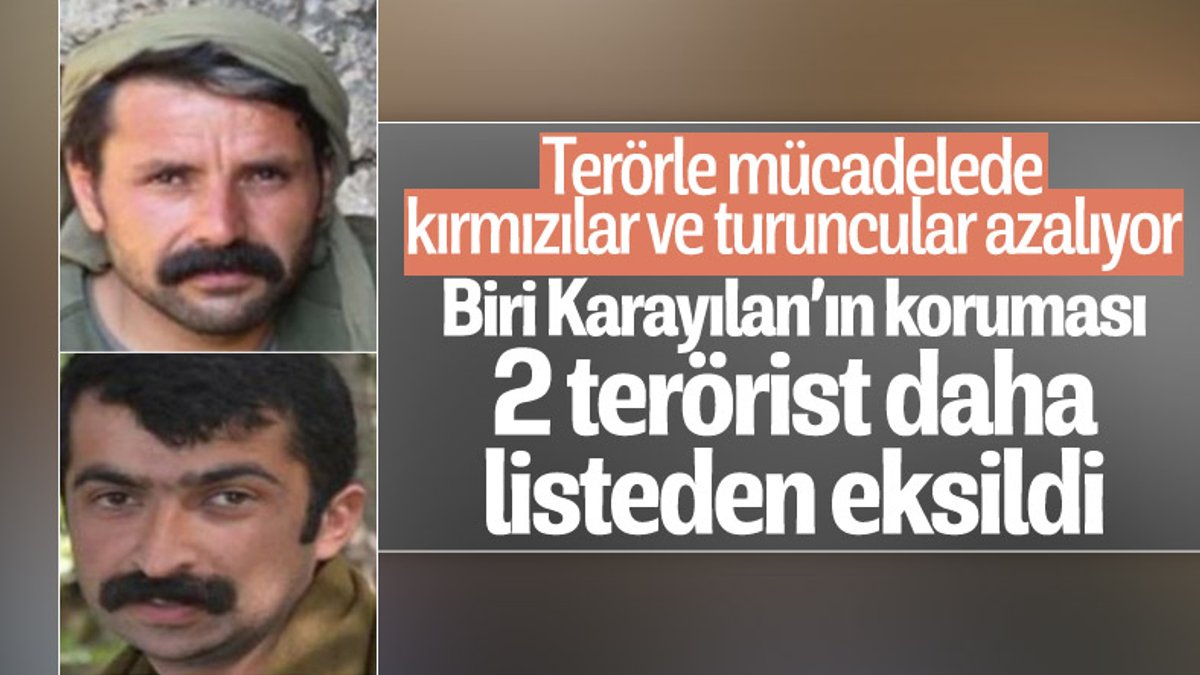 Mardin'de öldürülen 6 teröristten ikisi 'kırmızı' ve 'turuncu' listede