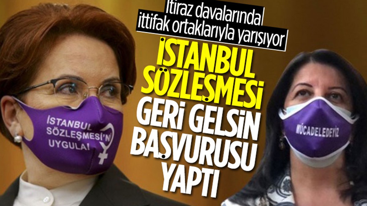 Meral Akşenerden, İstanbul Sözleşmesinin iptali için Danıştaya başvuru