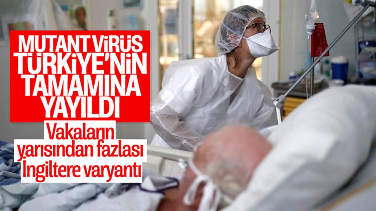 Koronavirüs mutantları, Türkiye'nin tamamına yayıldı