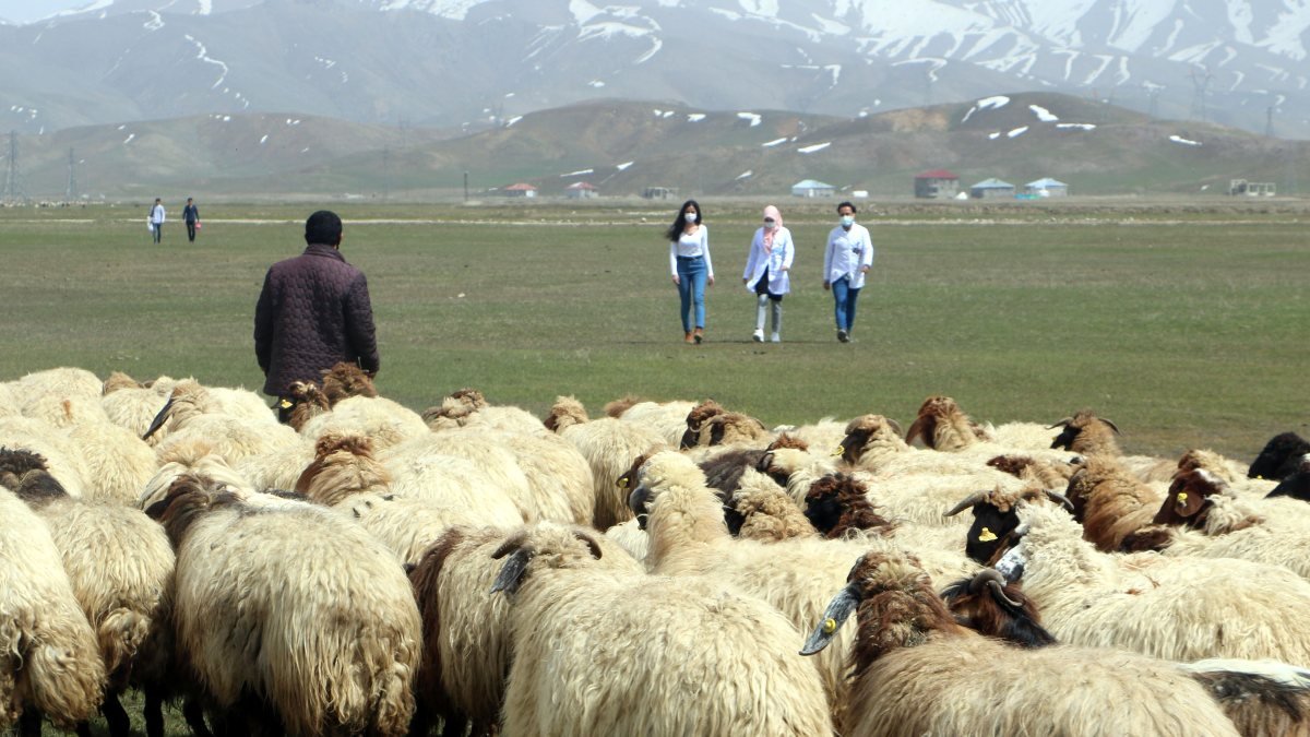 Hakkari'deki çobanın notu, sağlık çalışanlarını duygulandırdı