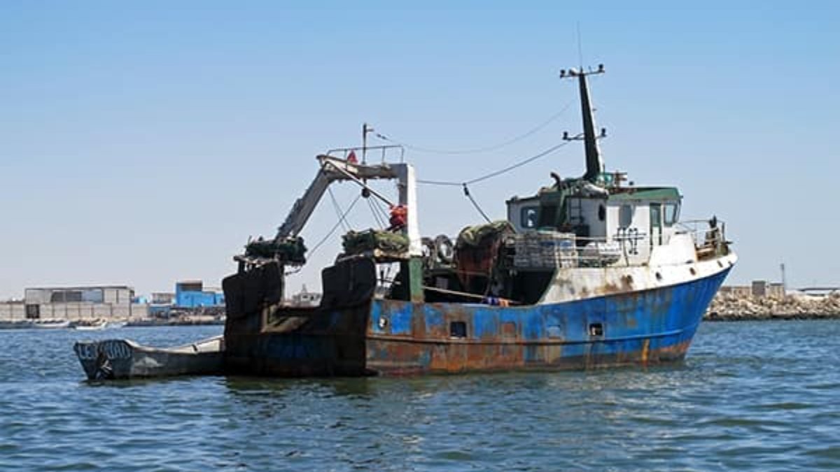 Saros Körfezi'nde yasa dışı su ürünleri avcılığına 101 bin TL ceza