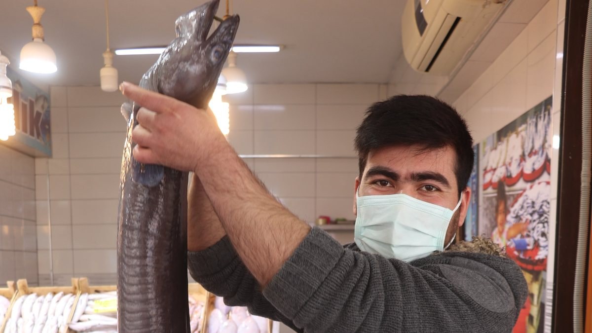 Çanakkale'de 1,5 metrelik yılan balığı yakalandı