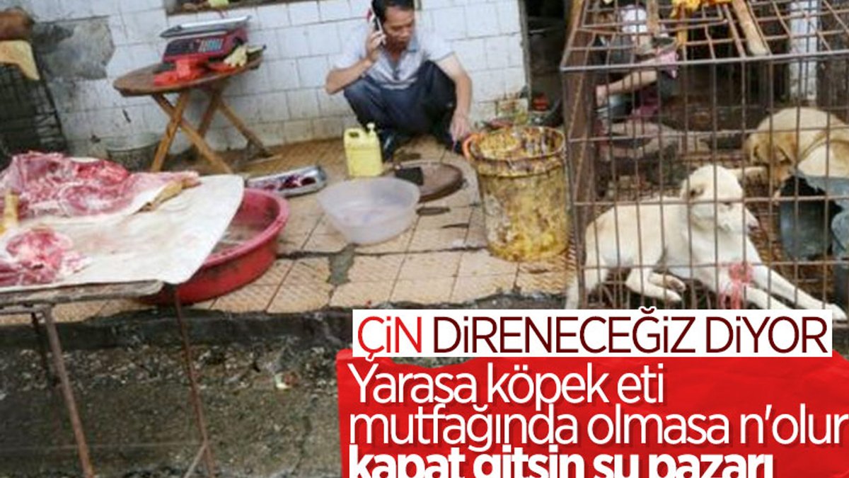 DSÖ: Canlı hayvan pazarları kapatılsın