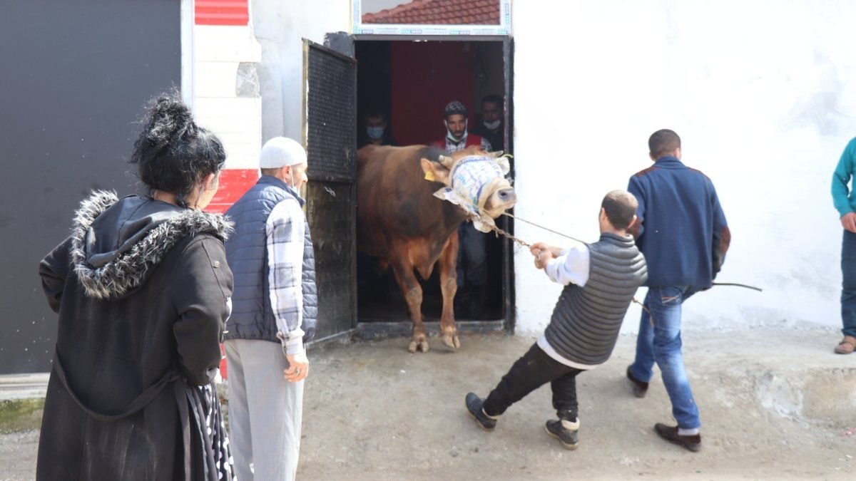 Düzce'de kaçak kesim denetimi