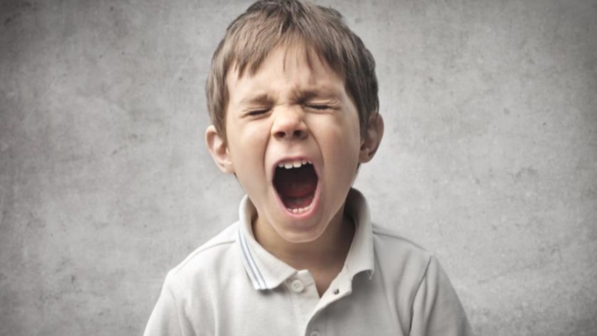 Öfke nöbetleri çocuğun hayal kırıklığını ifade etme yoludur