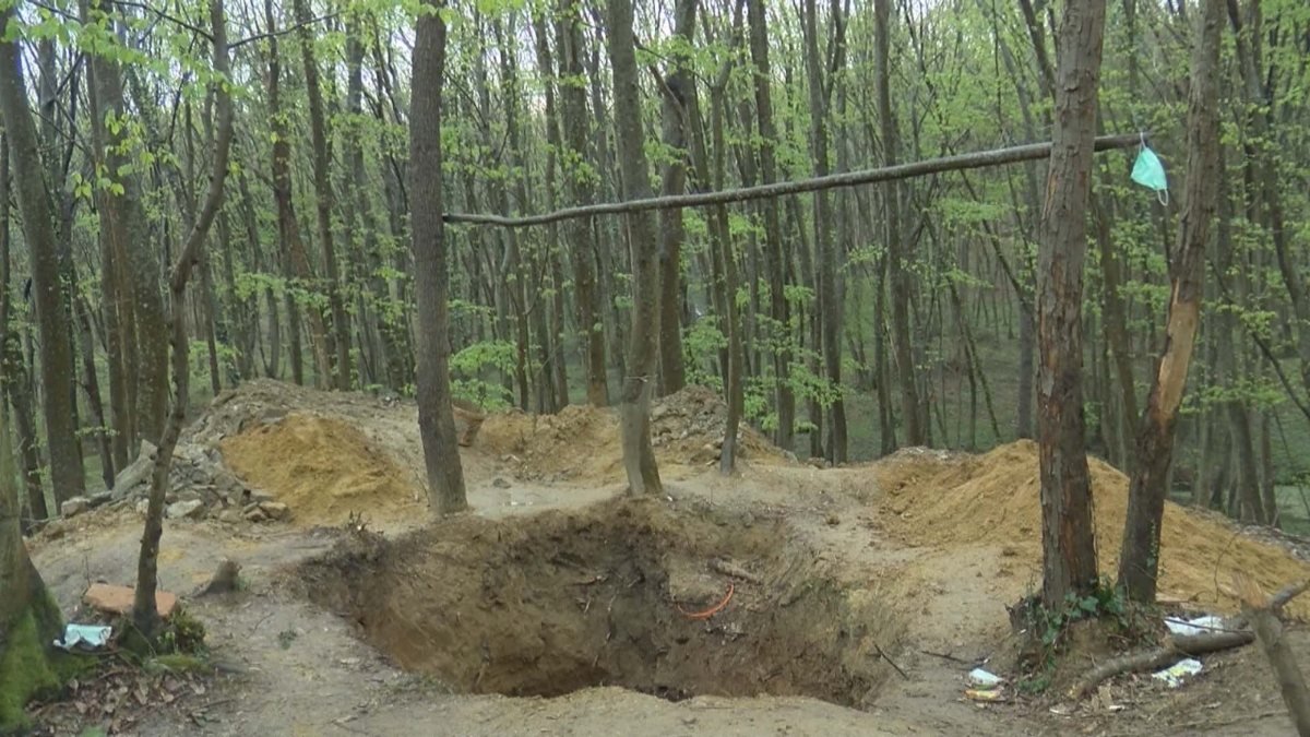 Define avcıları, Belgrad Ormanı'nda dev çukur kazdı
