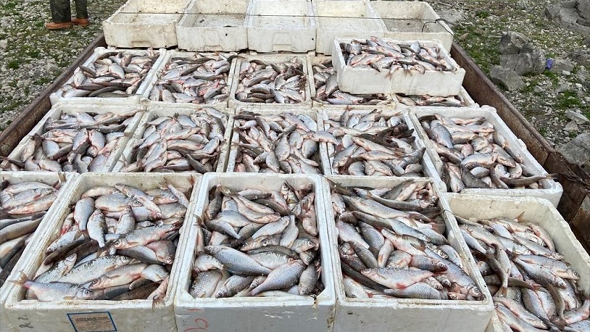 Eskişehir'de kaçak balık avlayanlar yakalandı