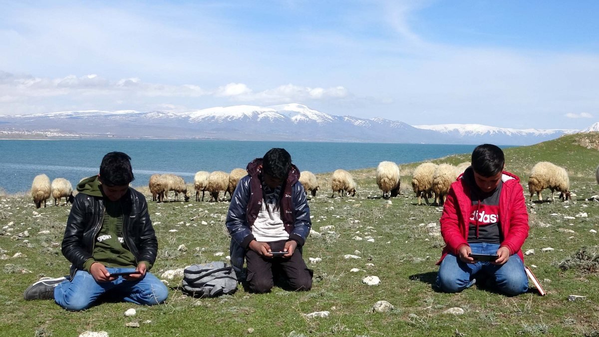 Van'daki çocuklar hem çobanlık yapıyorlar hem ders çalışıyorlar
