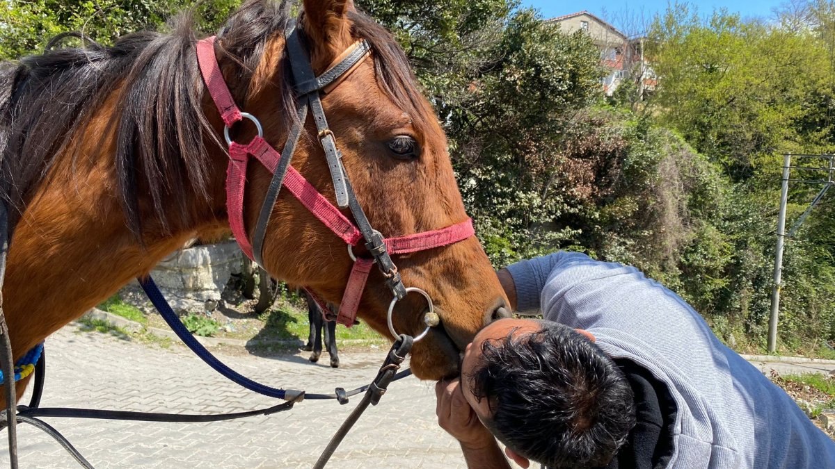 Zonguldak'ta 15 bin TL değerindeki atını arkadaşına hediye etti