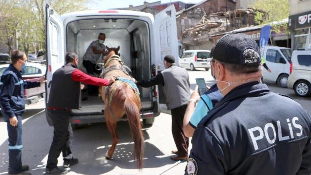 Erzurum'da sahibinin elinden kaçan at trafiği birbirine kattı