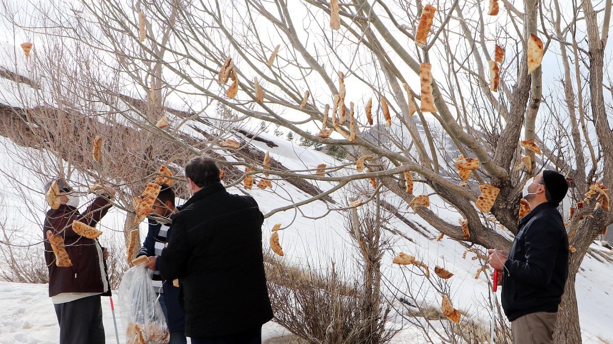 Erzurum'daki engelliler, kuşlar için 'rızık ağacı'na ekmek astı